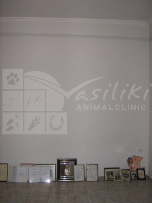 waiting room before4